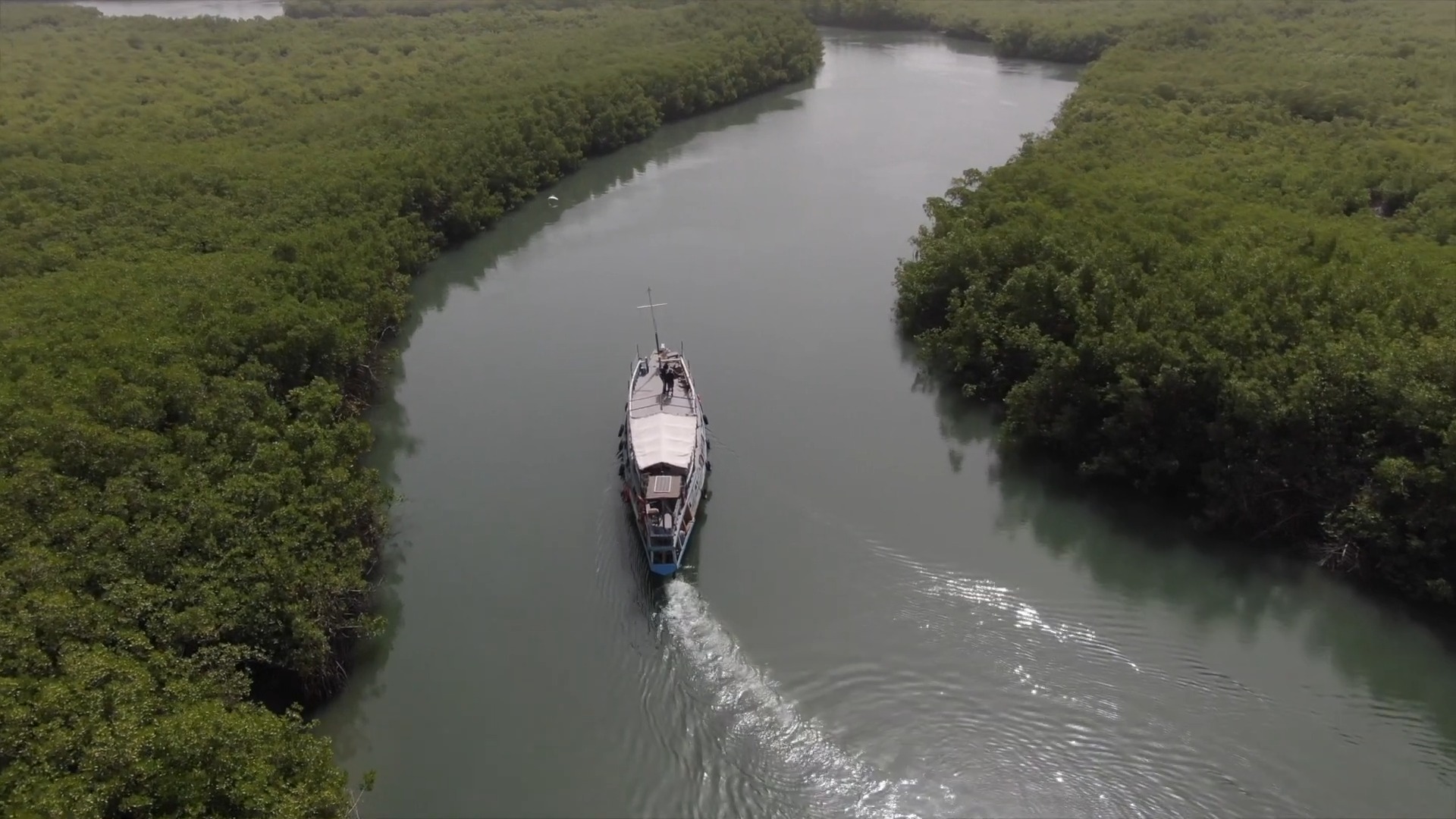 Boat Cruise on Gambia River