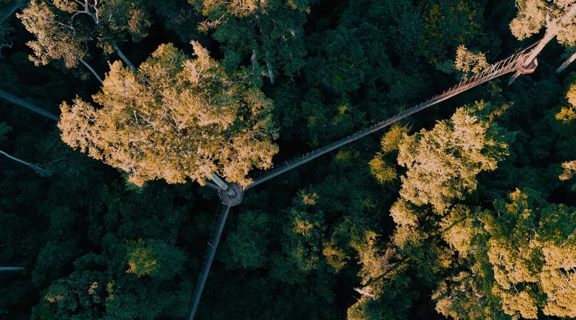 Kakum National Park in Ghana